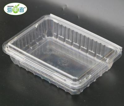 China 500g Disposable Plastic Fruit Blister Box Packaging Fruit Clamshell Clear Fruit Clamshell Packaging for sale