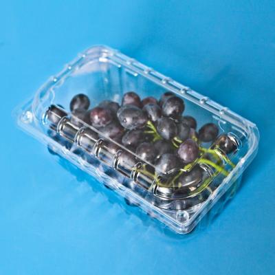 China Manufacturer Disposable Blister Plastic Food Fruit Clamshell, Clear Blueberry Cherry Packaging Container for sale