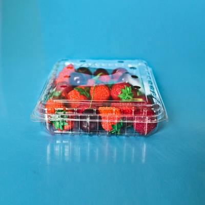 China Clamshell Disposable Blister Plastic Packaging Container 500 Grams for sale