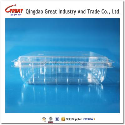 China Disposable On Sale Alibaba Plastic Clamshell Packaging Container For 1000gram Berry for sale