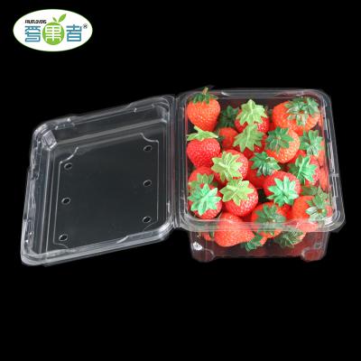 China Recycled Rectangle Disposable Materials Box Blister Clear Plastic Packaging Box for sale