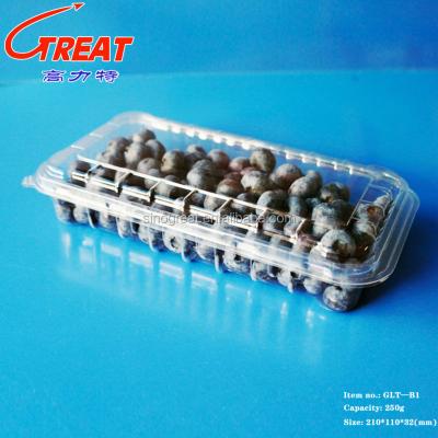 China Plastic Diposable PET Fruit Packing Container With Hole For Blueberry / Raspberry / Strawberry. for sale