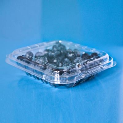 China Recycled Materials Food Grade Plastic Blueberry Packaging Box, Clear Clamshell For Blueberry Fruit Packaging for sale