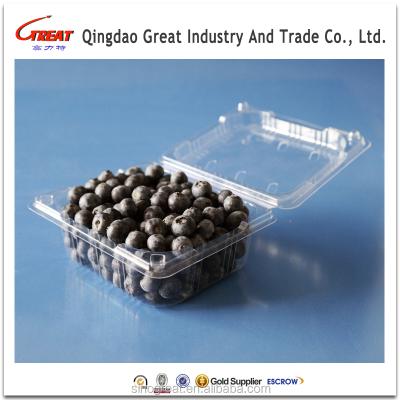 China China Supplier Disposable PET Clamshell Plastic Food Container For Fruit/Blueberry/Strawberry/Cherry for sale