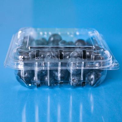 China Disposable PET Food Grade 125g Blister Blueberry Clamshell Plastic Packaging for sale