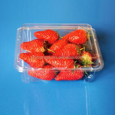 China Blister Materials Transparent Strawberry Fruit Container Recycled Plastic Material for sale