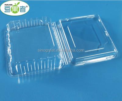 China Disposable Blister Maker Plastic PET Clamshell Packaging Food Grade Fruit Box Container for sale