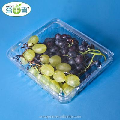 China Manufacturer Fruit Plastic Packaging Container Disposable Fruit Packaging Tray Fruit Clamshell For Grapes 1Kg for sale