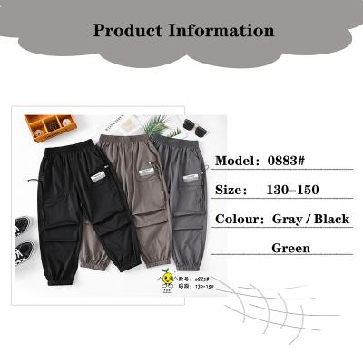 China Comfortable Anti-wrinkle boys new summer style pants casual fashion, parkour, cool boys big cloth boy pants for sale