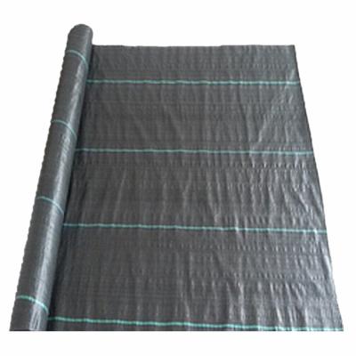 China Black EGP PP PE Weed Control Garden Used Plant Mat Cover In Roll For Garden Greenhouse Weed Mat for sale