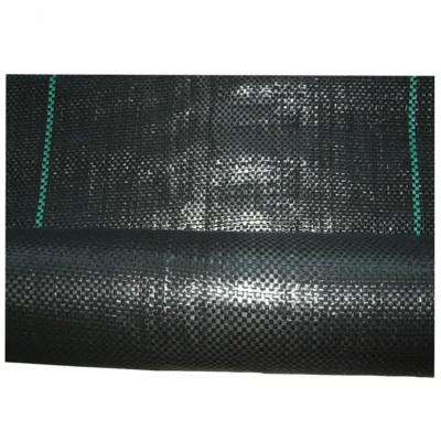 China Anti-grass for Agriculture EGP PP PE weed control mat anti-grass black plant cover in roll for garden greenhouse for sale