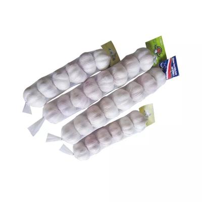 China Industrial Drawstring Sinbom Plastic Garlic Mesh Bag for Agriculture and Farmin for sale