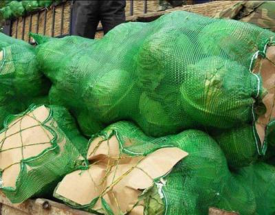 Chine Sacs de filets de chou vert personnalisables Pp Leno Sacs à mailles en plastique tricoté pour l'agriculture à vendre