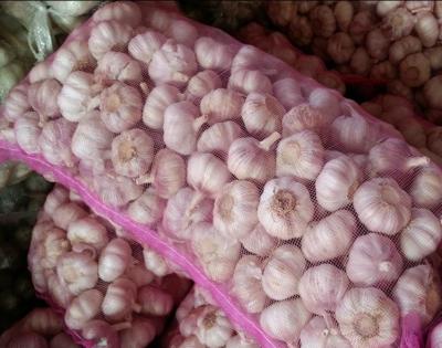 China Frischer Knoblauch Verpackung Pp Frucht Pink Mesh Schnurbeutel aus 100% PP/PE Material zu verkaufen