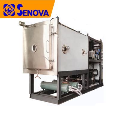 China Medicine Processing Pharmaceutical Industrial Lipo Freeze Dryer Liofilizador Vacuum Freeze Dryer Machine Precios for sale