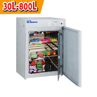 China Thermostatic Stainless Steel 30L 50L 80L 100L 150L 200L 65C Degree Laboratory Incubator for sale