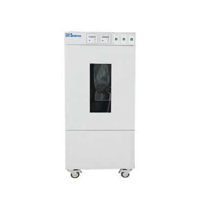 China SUS 304 Stainless Steel Culture Microbiological Laboratory Fungal Growth Mold Chamber Incubator for sale