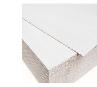 China Industrial Commercial White Plywood 9mm Poplar Plywood 4x8 Cheap Plywood for sale