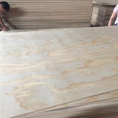 China Furniture Decoration Packing Flooring Malaysia Pine Face Poplar Core Plywood Price Veneer for sale