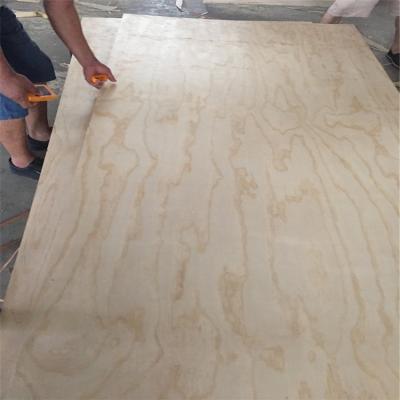 China Modern Packing Use Pine Plywood Fleece Core Beam Pine Plywood for sale