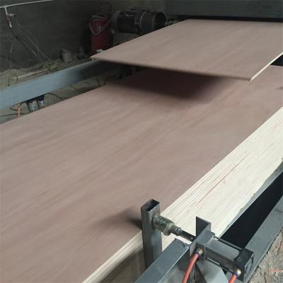 China Cheap plywood 18mm modern commercial plywood plywood for sale