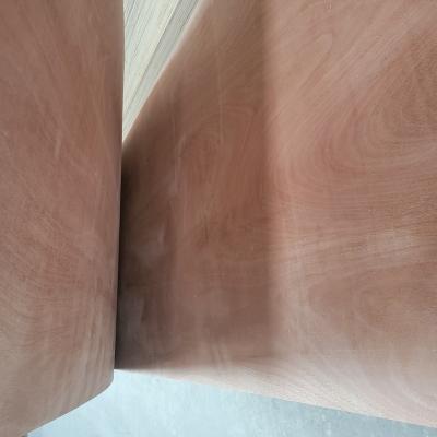 China Beam Pine Okoume Plywood Red Hardwood Plywood Exterior Timber Plywood for sale