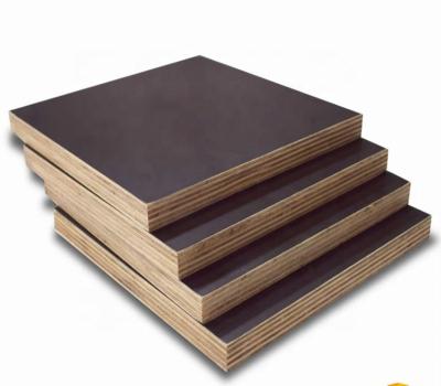 China Modern construction use1220*2440 black film faced plywood for sale