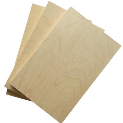 China Modern Indoor Use Birch Veneer Board Furniture Plywood for sale