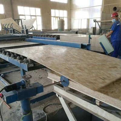 China Traditional wholesale cheap price osb panel 9mm 3 for construction wood osb panels for sale