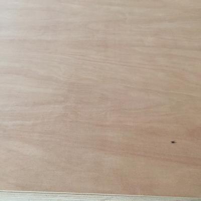 China Modern Pencil Cedar Plywood Furniture Grade Packing Plywood Sheet for sale