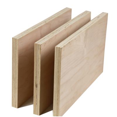 China Modern Best Quality Plywood White Birch Plywood 1220x2440mm 12mm for sale