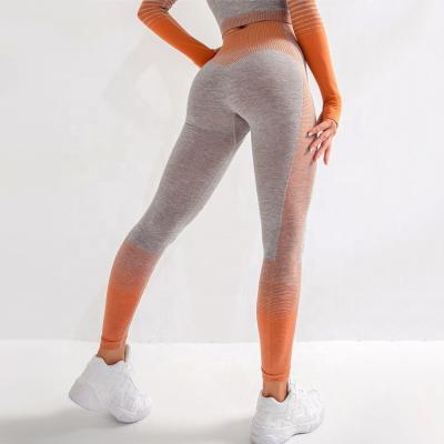 China Waisted Yoga Pants Workout Wear Women Fitness Clothing Custom Sporty Active Tight Breathable High Waisted Seamless Yoga Pants for sale