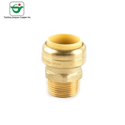 China El empuje ' X1/2” de CUPC NSF61 el 1/2 cupo el adaptador masculino de cobre amarillo en venta