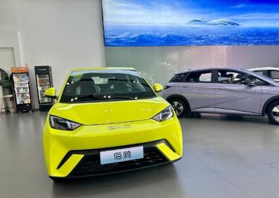 China Más reciente lanzado BYD EV coche- Adults EV Byd Seagull 2023 Edición gratuita Solar Electric Car en venta