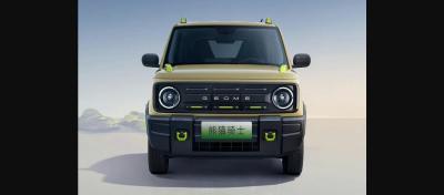 China 2023 Mini-Elektroauto Kleines chinesisches Elektrofahrzeug mit einem Bronco-Gesicht bei Geely Panda Knight 200km Reichweite zu verkaufen