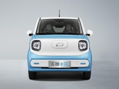 China FAW Bestune Energético Pony EV Hatchback 170km Range Coches eléctricos en venta