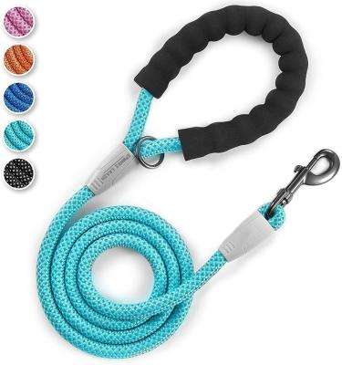 China Custom 2022 Hot Selling Custom Colorful Reflective Goods Braided Nylon Climbing Rope Dog Leash With Soft Padded for sale