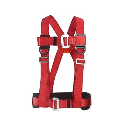 China Aerial Work Hot Sell Construction Soft Sponge Waist Pad Safety Half Body Harness for sale