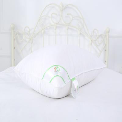 China Wholesale Amazon Duck Goose Anti-Static Feather And Down Pillow Insert Penguin Down And Polyester Pillow for sale