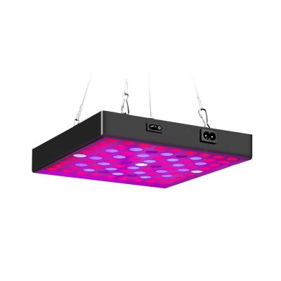 China Seed Starting 80W Quantum LED To Grow Light 50w Full Spectrum Led Panel To Grow Light for sale