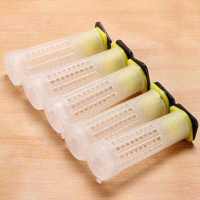 China Farms Bee Rearing System Plastic Queen Bee Cage , Chinese Beekeeping Rearing Cup Kit for sale