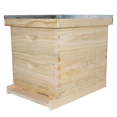 China Grow Bee Hive 10 Frames Complete Bee Hive Box With Super Honey From Langstroth Bee Hives for sale