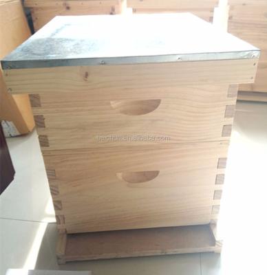 China WOODEN Bee hive for bee farm DaDant bee hive thick 24mm high and details bee hive measurements for impoeter for sale