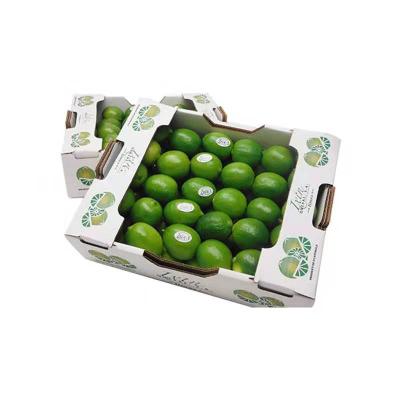 China Recyclable Customize Different Sizes Of Premium Avocado Packaging Boxes for sale