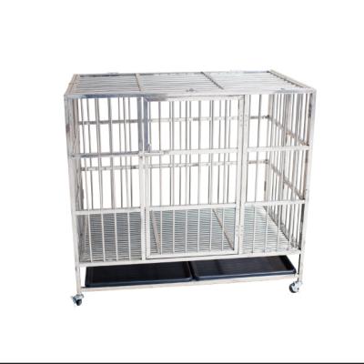 China Popular Stainless Steel Pet House Running Dog Cage Sustainable Design for sale