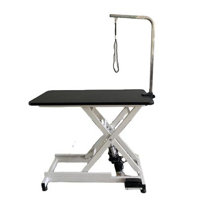 China New Lize Dog Grooming Table Dog Cat Hair Trimming Viable Borderless Electric Lifting Table for sale