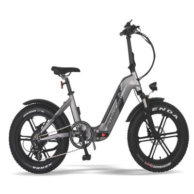 China Standard Electric Bike Mini 36V350W 20