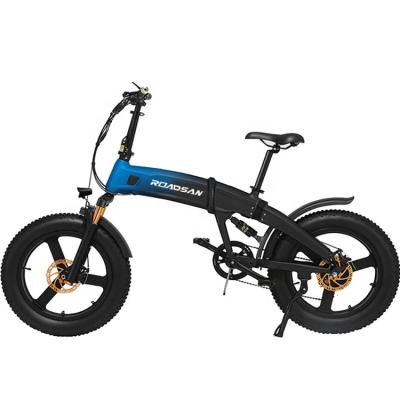 China Aluminum Alloy Fat Tire Electric Bike 750w Electric Folding Bicycle 36v Folding Bicycle for sale