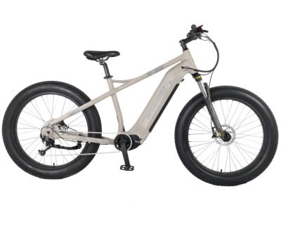 China Aluminum alloy 26 inch fat tire mountain bike 750w mid drive electric electric mountain bike for sale