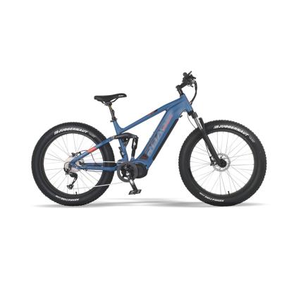 China Fat Tire Electric Fat Tire Electric Bike New Model Electric Bike 750W Electric Bike Wholesale for sale